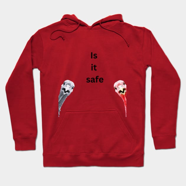 Safe turkey Hoodie by NeoNana